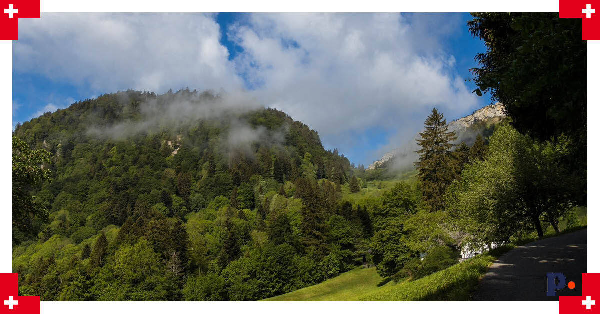 Lasy bukowe w Szwajcarii na liście UNESCO