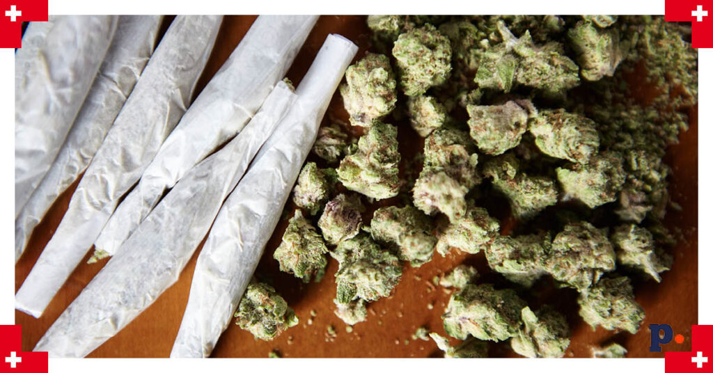 legalizacja marihuany