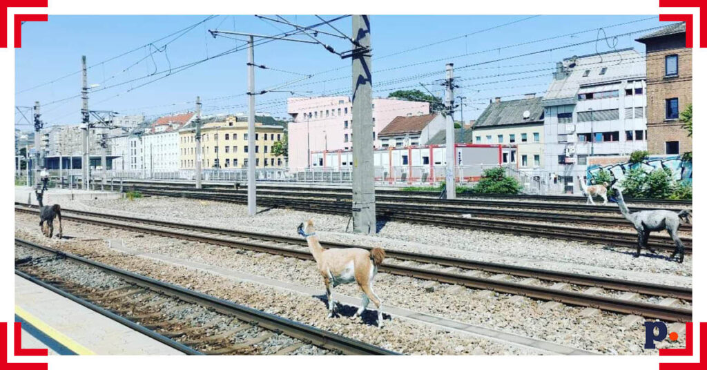 ÖBB