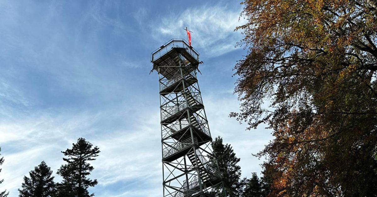 lembergturm, lemberg, wieża widokowa, wieża lemberg, widok