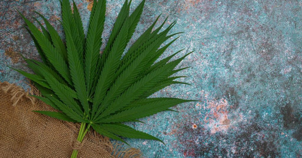 marihuana, konopie indyjskie, legalizacja marihuany, przestępstwa, Berlin, aktualności Niemcy