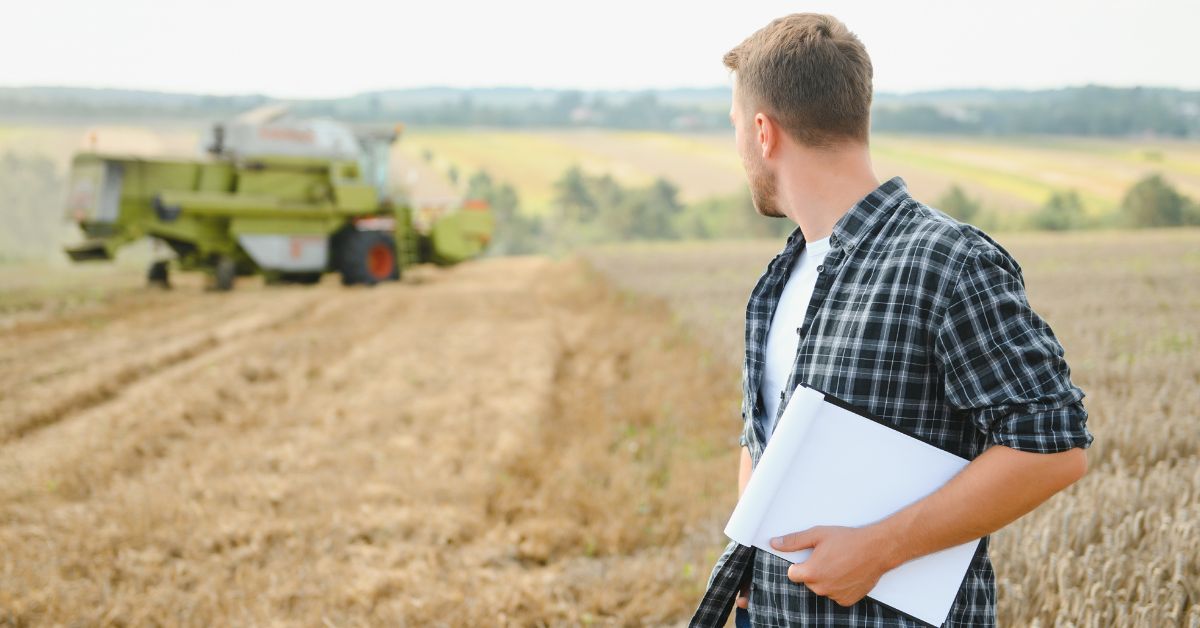 rolnik, pole, praca w rolnictwie, zarobki w rolnictwie, zboże, uprawa