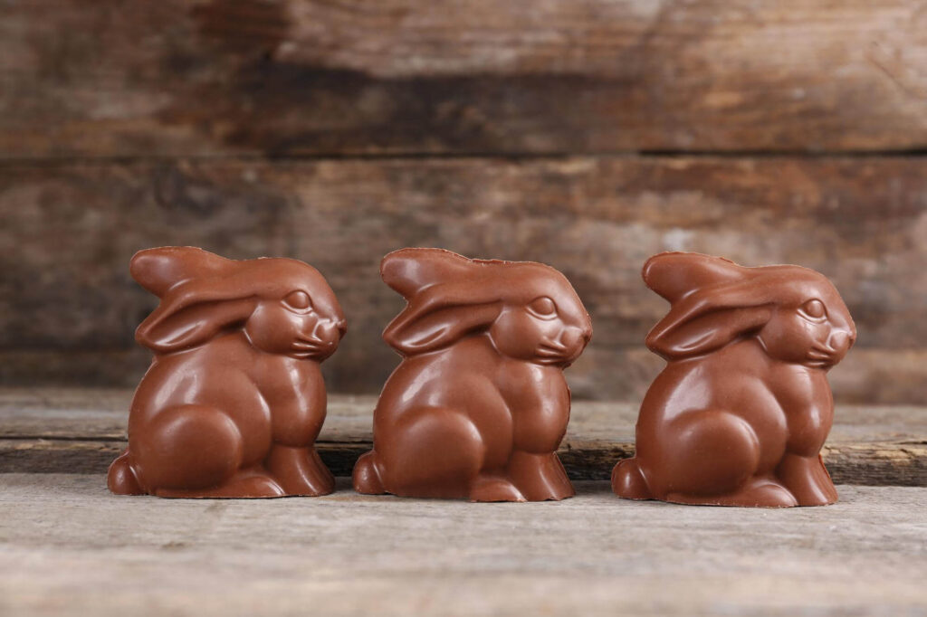 Czekoladowe zające wielkanocne ustawione na drewnianym tle – tradycyjne słodycze na Wielkanoc w Szwajcarii.