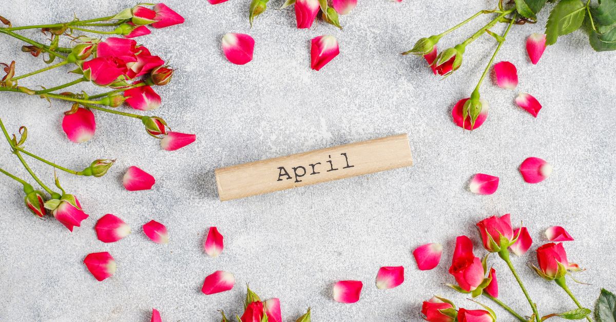 Austria zmiany kwiecień, podwyżki czynszów Austria, ceny paliw Austria, taryfy telefoniczne Austria, shrinkflacja Austria, prąd taryfa socjalna Austria, koszty życia Austria 2026, nowe przepisy Austria, hamulec cen paliw, rynek telekomunikacyjny Austria, austria, kwiecień, zmiany, aktualności, aktualności Austria,