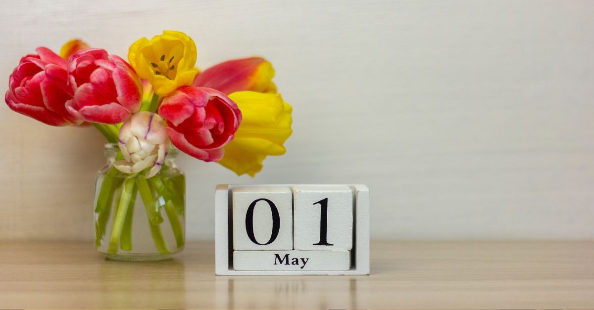 1 maja w Niemczech, święto pracy w Niemczech, dzień pracy Niemcy, czy 1 maja to dzień wolny w Niemczech, praca 1 maja w Niemczech, prawo pracy Niemcy święta, dodatek za pracę w święto Niemcy, sklepy 1 maja Niemcy, czy sklepy są otwarte 1 maja w Niemczech, gdzie zrobić zakupy 1 maja Niemcy, dni ustawowo wolne w Niemczech, wolne od pracy w Niemczech, czy 1 maja w Niemczech idzie się do pracy, ile wynosi dodatek za pracę 1 maja w Niemczech, czy Aldi i Lidl są otwarte 1 maja w Niemczech, co jest otwarte 1 maja w Niemczech, jakie są tradycje 1 maja w Niemczech, czym jest Tanz in den Mai, czy 1 maja w Niemczech jest płatny, jak wygląda święto pracy w Niemczech,