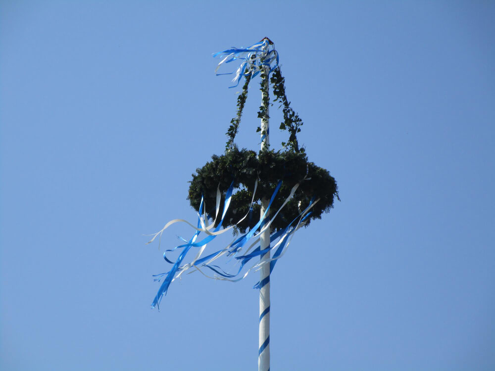Wysoki słup Maibaum unoszony dźwigiem na tle nieba, przygotowywany do ustawienia zgodnie z bawarską tradycją majowego drzewa.
