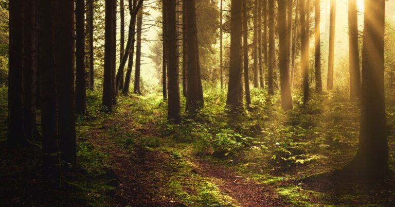 Zermatt, Szwajcaria, Valais, Polak w Szwajcarii, nielegalny pobyt Szwajcaria, aktualności, Polak, Polacy w Szwajcarii,