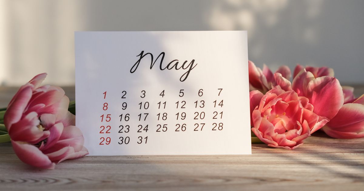 Szwajcaria zmiany maj 2026, import jaj Szwajcaria, uchodźcy Syria Szwajcaria decyzje azylowe, numer alarmowy 142 Szwajcaria, przemoc domowa pomoc Szwajcaria, Szafuza przepisy drogowe, Szwajcaria, zmiany, maj, aktualności Szwajcaria, aktualności, zmiany w Szwajcarii,