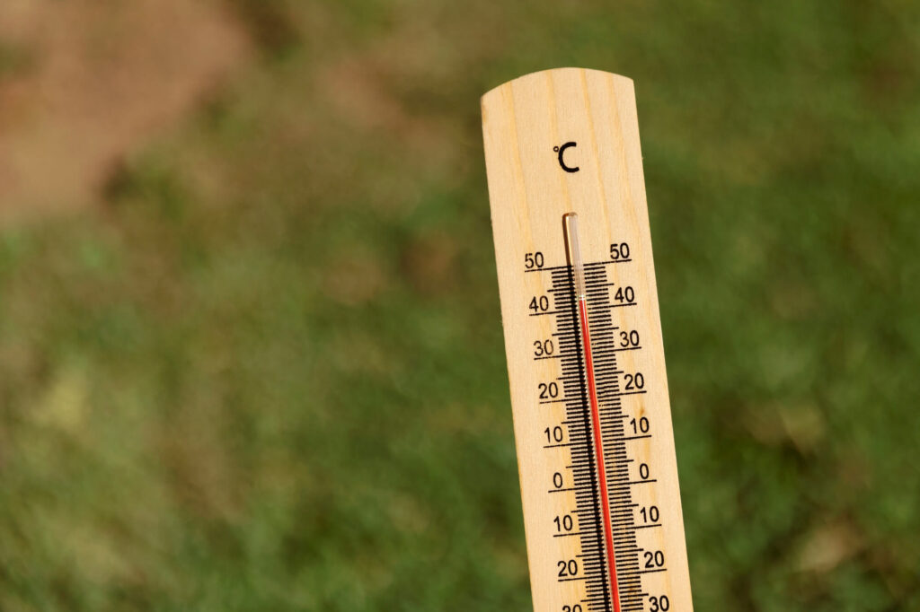 Wysoka temperatura podczas fali upałów w Niemczech wpływa na warunki pracy i nauki