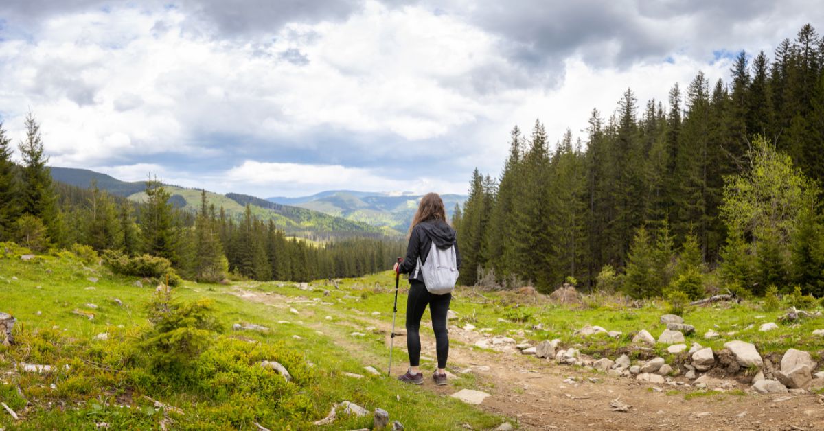 górskie szlaki w Niemczech, trekking w Niemczech, wycieczki w Niemczech, góry w Niemczech, najlepsze szlaki w Niemczech, Zugspitze, Brocken, Watzmann, Jochberg, Wendelstein, Alpy Bawarskie, Harz, trekking w Alpach, wycieczki górskie Niemcy, szlaki turystyczne Niemcy,
